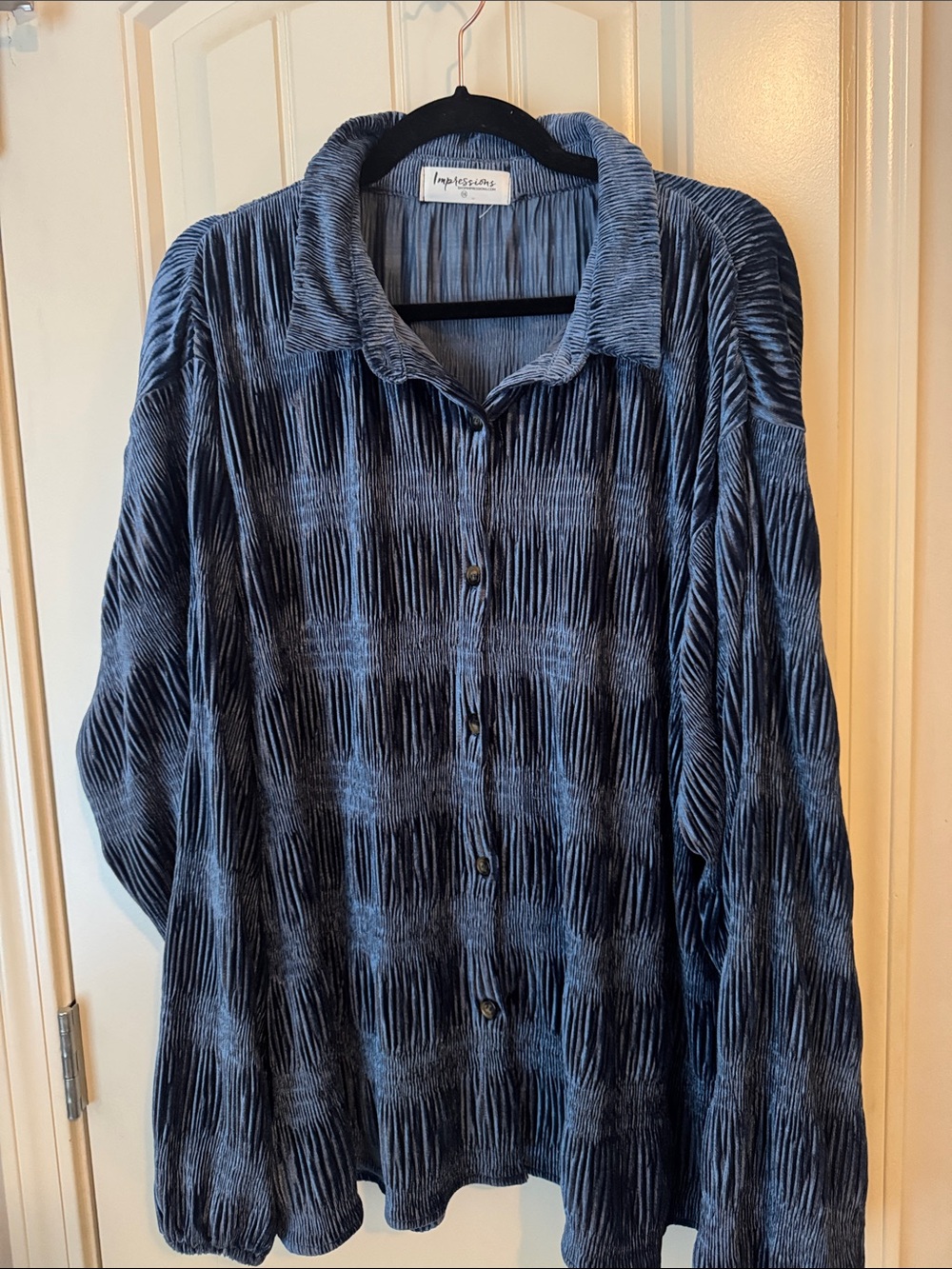 Impressions Women's Blue Textured Button-Front Blouse